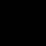 Seda