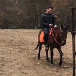 Erdi