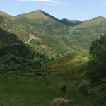 Aykut