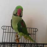 Mawi