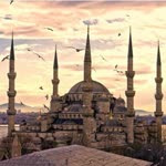 Rohat