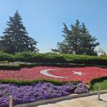 Aysun