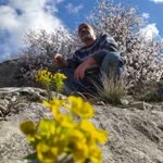 Süleyman
