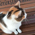 Çağdaş