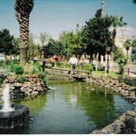 Barış