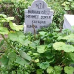 Burhan
