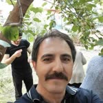 Salih