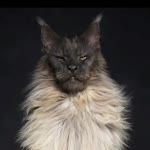 Kübra
