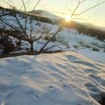 Servet