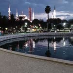 Sedef