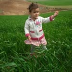 Faysal