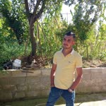 Ali