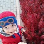 Samiye