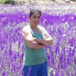 Güler