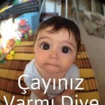 Kadir