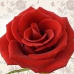 Hatice