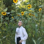 Zişan
