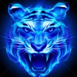 Rasim