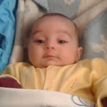 Bahar