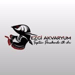 Ezgi
