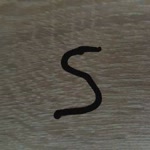 Sevda