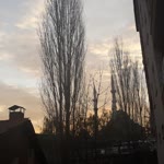 Duygu