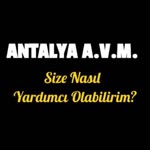 Ozan