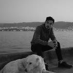 Enis