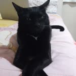 Zeynep