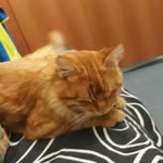 Necmi
