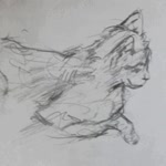 Desen