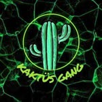 Kaktüs