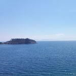 Doğan
