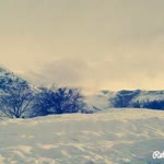 Enes