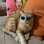 Nurya
