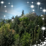 Dilek