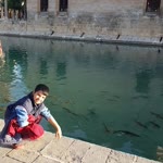 Ercan