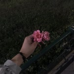 Bahar