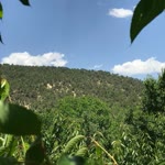 Şükrü