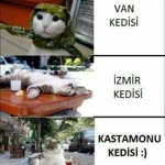 Etot