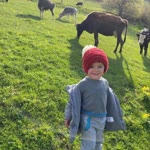 Ayse
