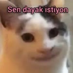 Buket