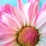 Sinem
