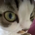 Zeynep