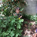 İlhan