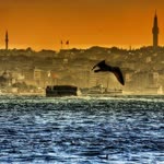 Veysel