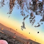 Songül