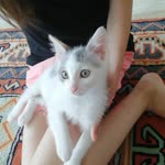 Filiz