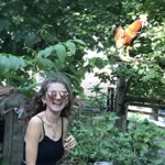 Özge