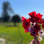 Esma